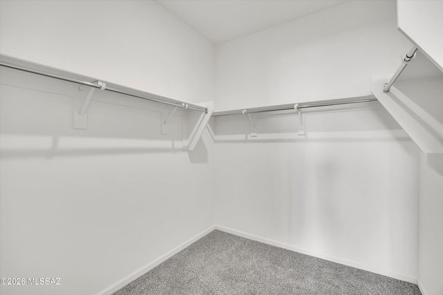 7795 S Via Perfecta, Tucson, AZ 85756