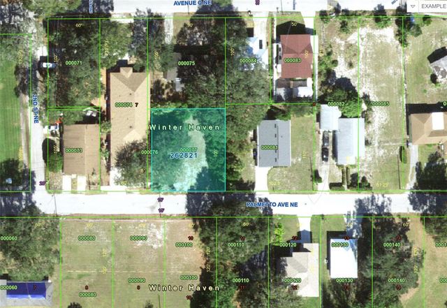 223 PALMETTO AVENUE NE, Winter Haven, FL 33881