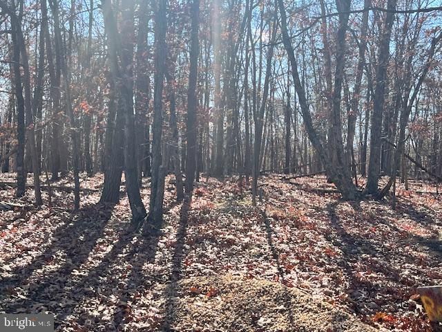 0 THREE OAKS LN, Gore, VA 22637