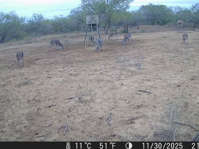 4141 CR 343, Charlotte, TX 78011