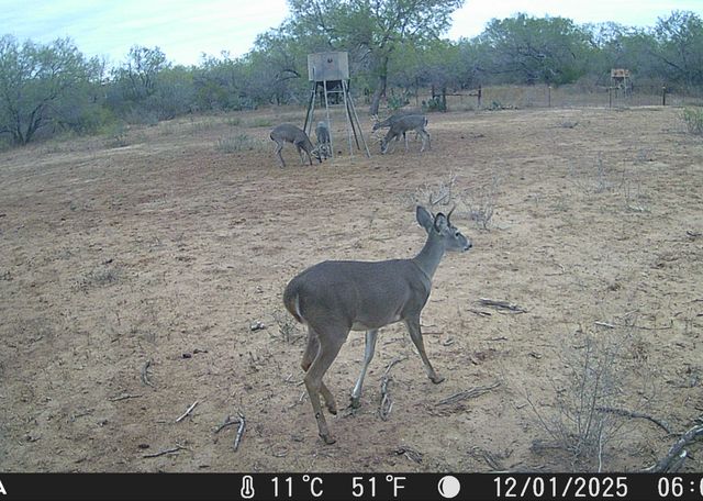 4141 CR 343, Charlotte, TX 78011