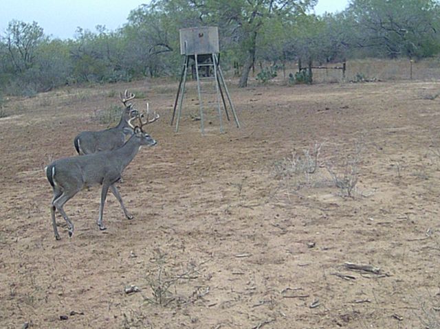 4141 CR 343, Charlotte, TX 78011