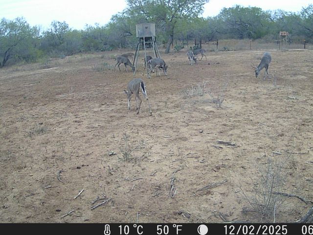 4141 CR 343, Charlotte, TX 78011