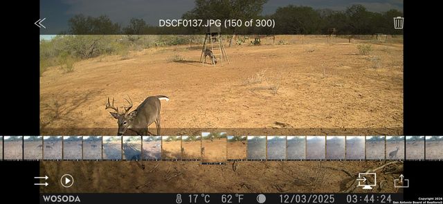 4141 CR 343, Charlotte, TX 78011