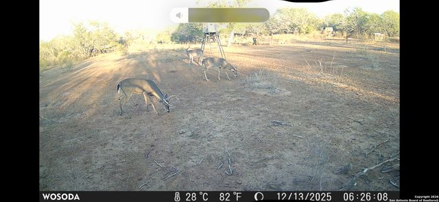 4141 CR 343, Charlotte, TX 78011