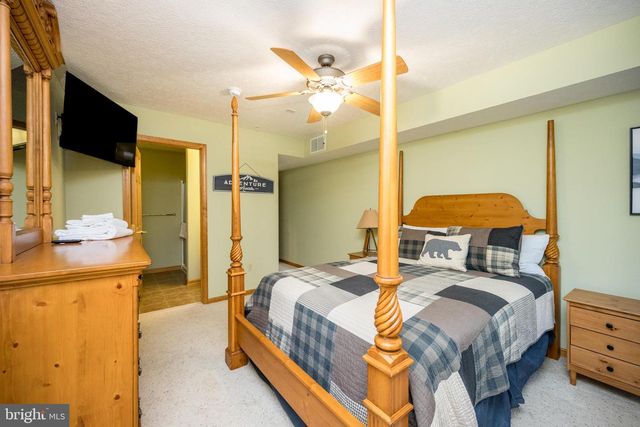 165 PARKSIDE NORTH CT, Mc Henry, MD 21541