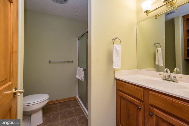 165 PARKSIDE NORTH CT, Mc Henry, MD 21541