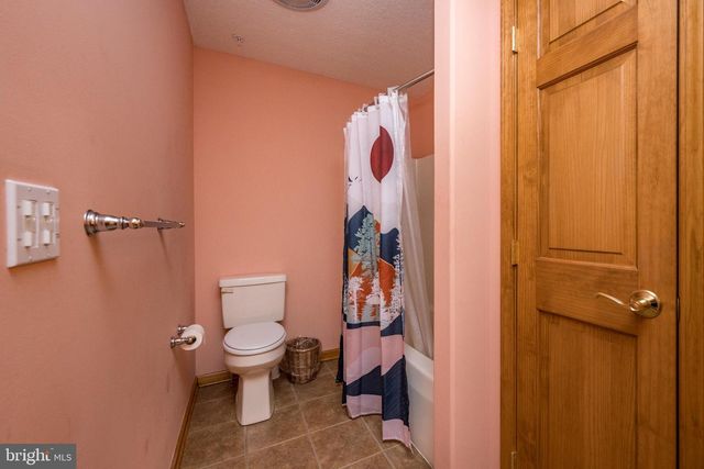 165 PARKSIDE NORTH CT, Mc Henry, MD 21541