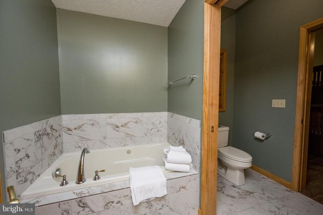 165 PARKSIDE NORTH CT, Mc Henry, MD 21541