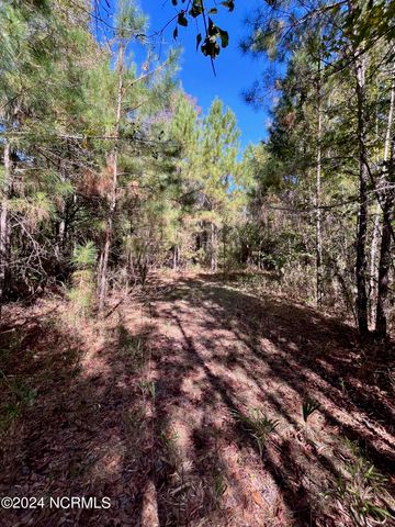 00 Liberty Park Road, Jacksonville, NC 28540