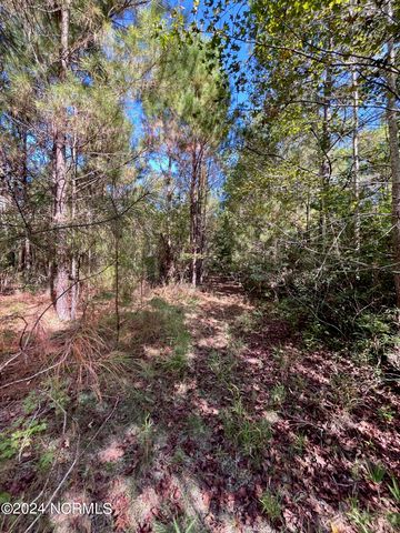 00 Liberty Park Road, Jacksonville, NC 28540