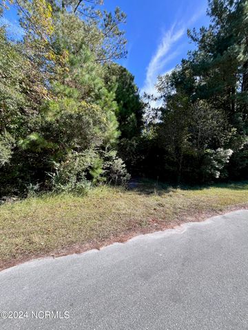 00 Liberty Park Road, Jacksonville, NC 28540