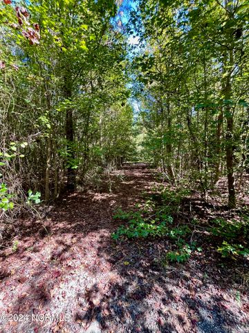 00 Liberty Park Road, Jacksonville, NC 28540