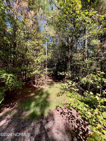 00 Liberty Park Road, Jacksonville, NC 28540