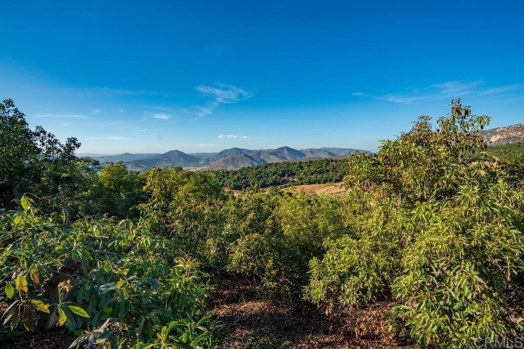 10975 Old Oak Holler, Valley Center, CA 92082 — photo 3