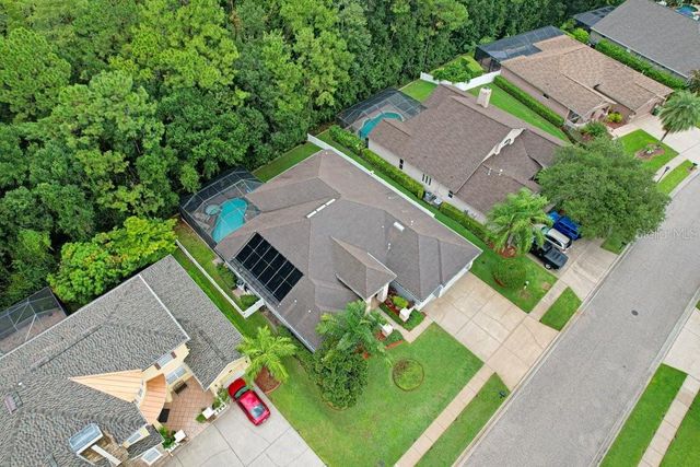 16116 IVY LAKE DRIVE, Odessa, FL 33556