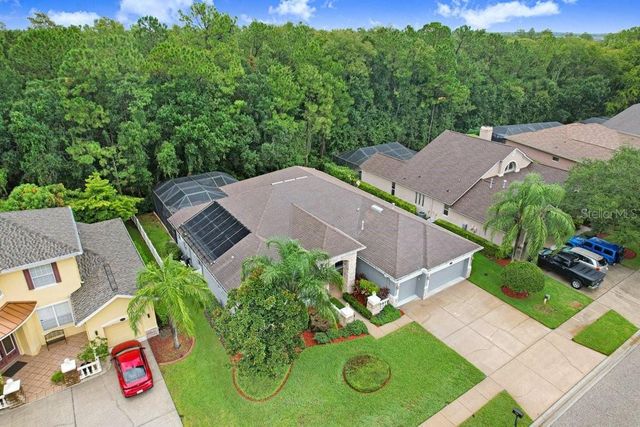 16116 IVY LAKE DRIVE, Odessa, FL 33556