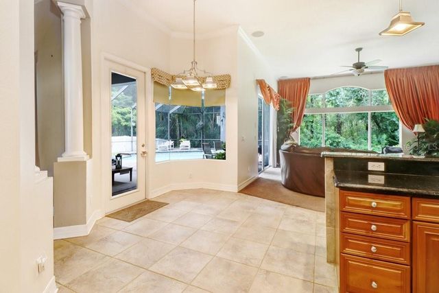 16116 IVY LAKE DRIVE, Odessa, FL 33556