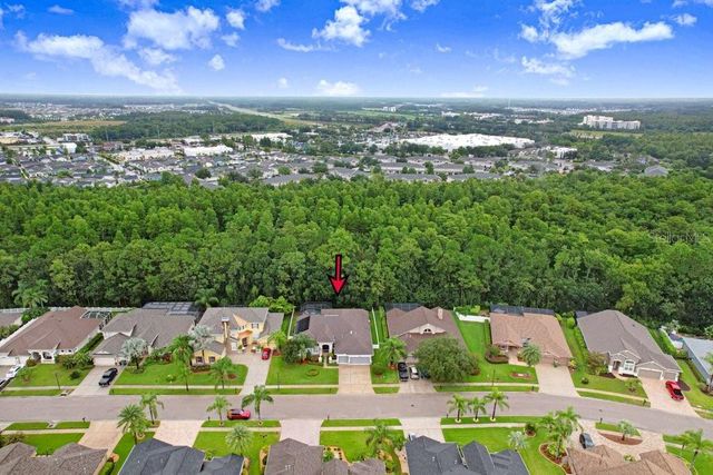 16116 IVY LAKE DRIVE, Odessa, FL 33556