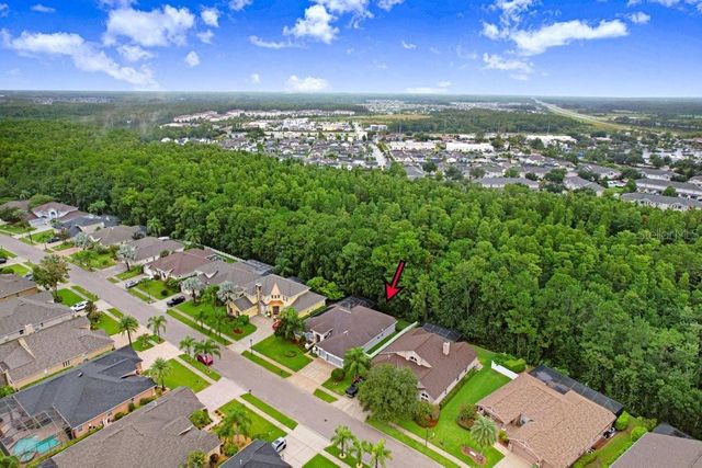 16116 IVY LAKE DRIVE, Odessa, FL 33556