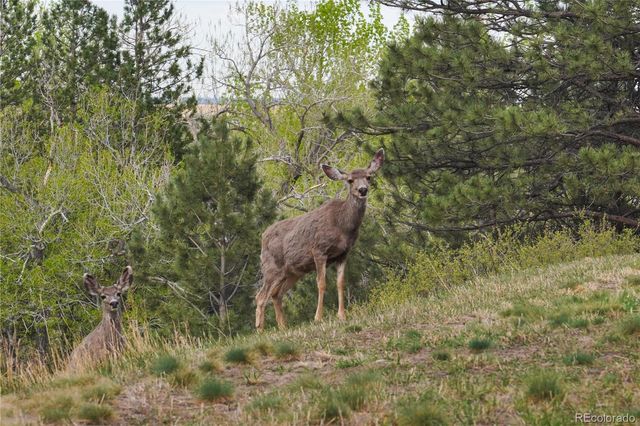 8664 Middle Fork, Boulder, CO 80302