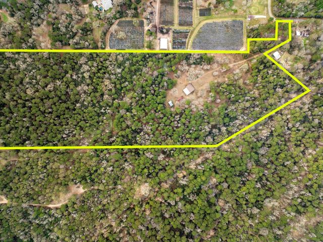 15547 Knotty Oaks Trail, Magnolia, TX 77355