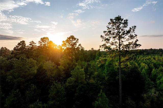 1999 Cherokee Trail, Lovelady, TX 75851