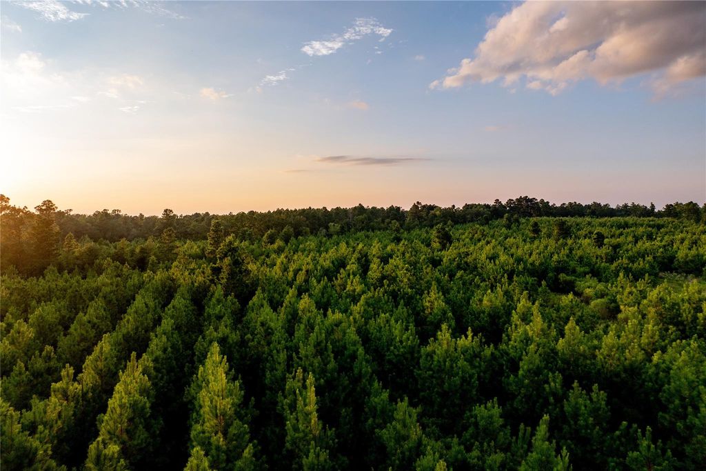 1999 Cherokee Trail, Lovelady, TX 75851