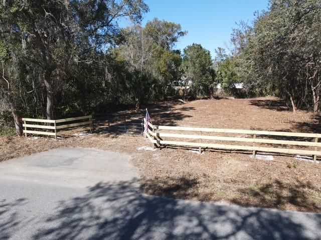 AZALEA AVENUE, Paisley, FL 32767