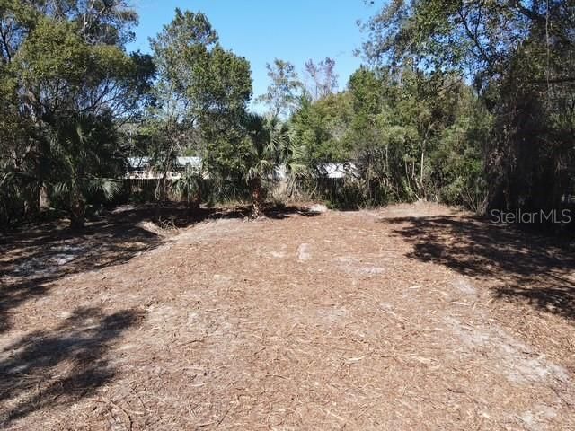 AZALEA AVENUE, Paisley, FL 32767