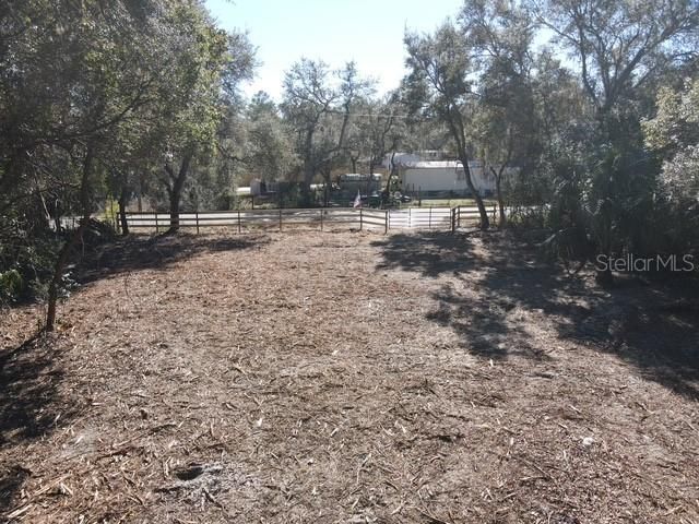 AZALEA AVENUE, Paisley, FL 32767