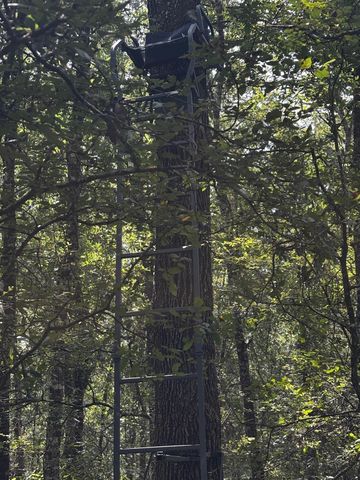 Lot 25 Frank Ln, Magnolia, TX 77353