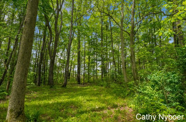 9188 W V Avenue, Prairie Ronde Twp, MI 49087