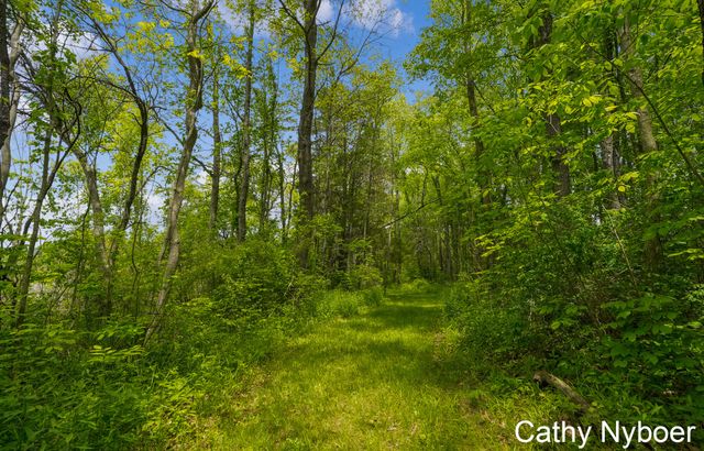 9188 W V Avenue, Prairie Ronde Twp, MI 49087