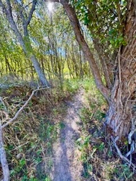 Image 11 of property listing at NHN River Road W, Plains, MT 59859
