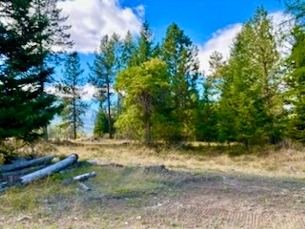 Image 13 of property listing at NHN River Road W, Plains, MT 59859