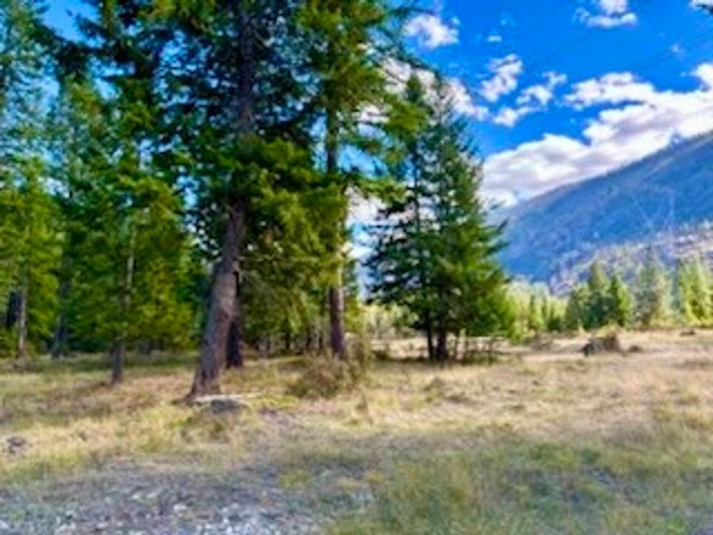 Image 14 of property listing at NHN River Road W, Plains, MT 59859