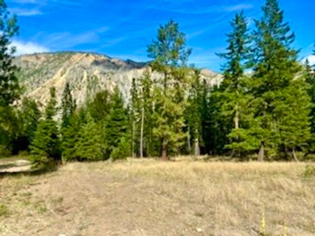 Image 21 of property listing at NHN River Road W, Plains, MT 59859
