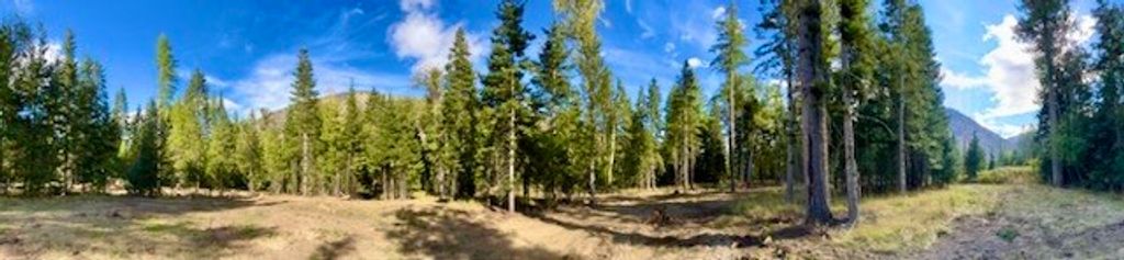 Image 24 of property listing at NHN River Road W, Plains, MT 59859