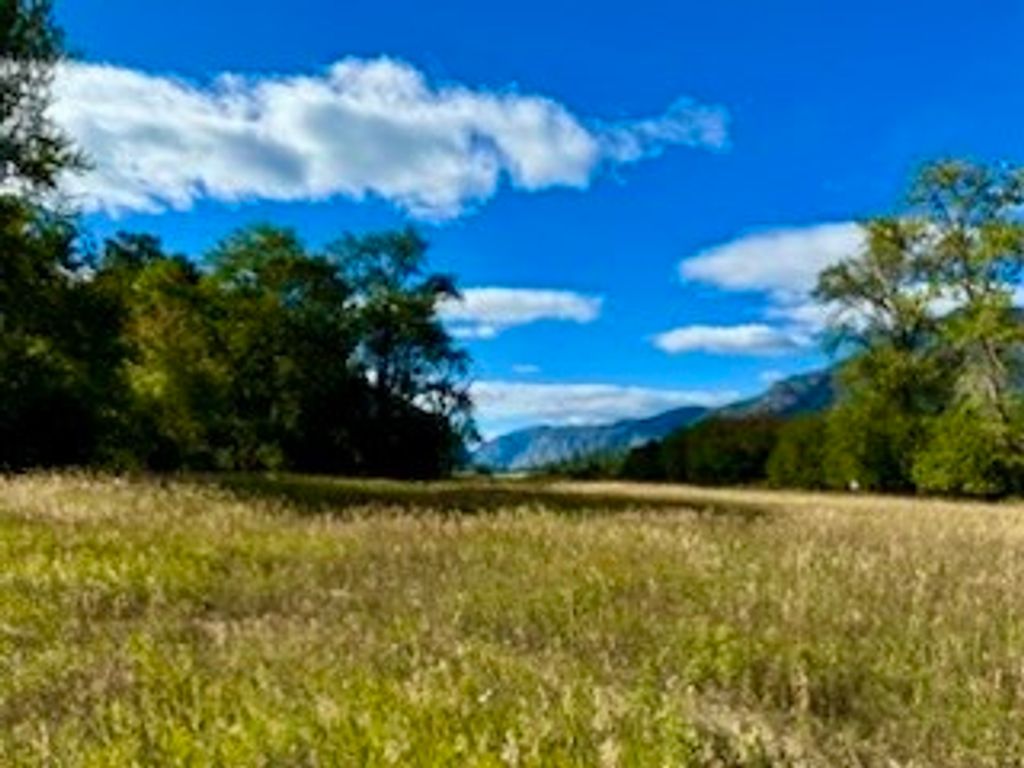 Image 27 of property listing at NHN River Road W, Plains, MT 59859