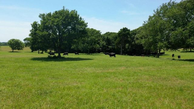 3896 Cr 305 436 Acs, Whitehall, TX 77868