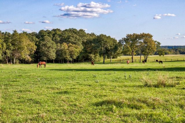 3896 Cr 305 436 Acs, Whitehall, TX 77868