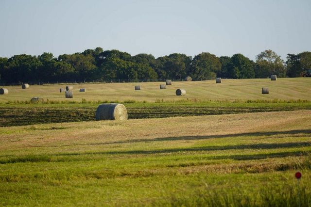 3896 Cr 305 436 Acs, Whitehall, TX 77868