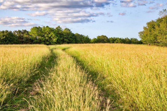 3896 Cr 305 436 Acs, Whitehall, TX 77868