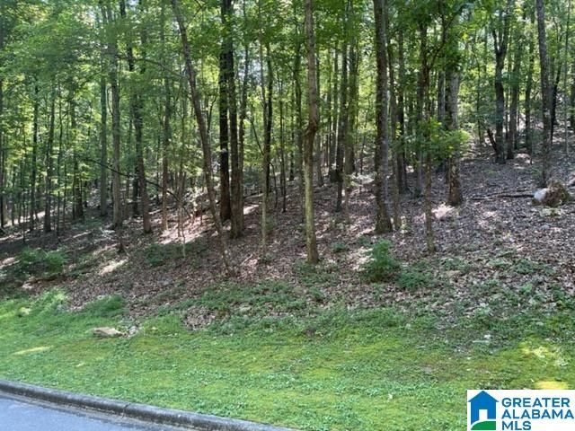 1118 GREYSTONE CREST DRIVE, Birmingham, AL 35242