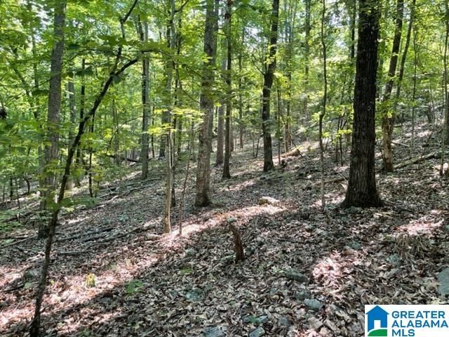 1118 GREYSTONE CREST DRIVE, Birmingham, AL 35242