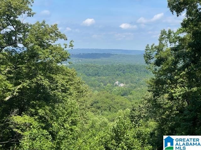 1118 GREYSTONE CREST DRIVE, Birmingham, AL 35242