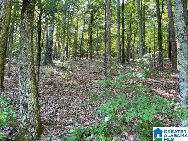 1118 GREYSTONE CREST DRIVE, Birmingham, AL 35242