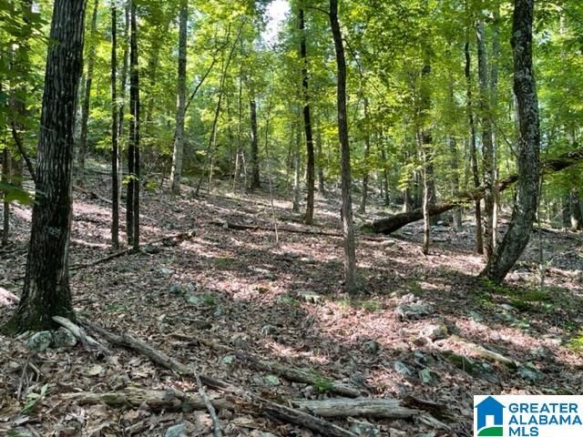 1118 GREYSTONE CREST DRIVE, Birmingham, AL 35242