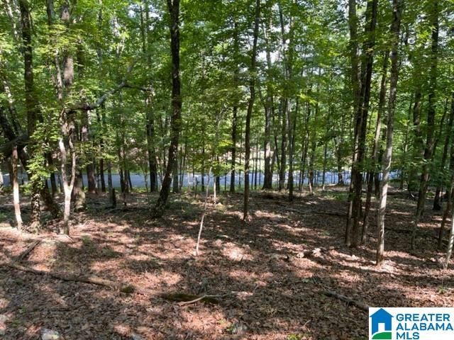 1118 GREYSTONE CREST DRIVE, Birmingham, AL 35242